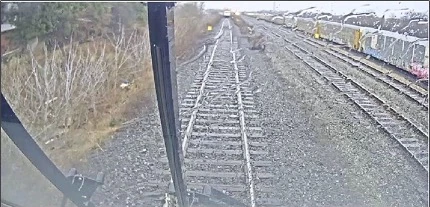 Train control systems urged after GO near miss