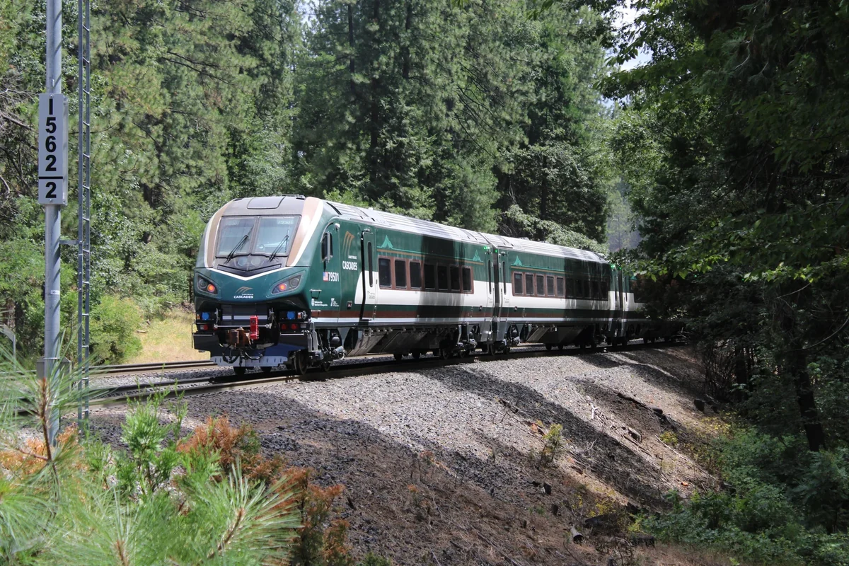 Amtrak Cascades Airo cab car travelling through forest near Alta, California Amtrak Cascades Airo cab car travelling through forest near Alta, California