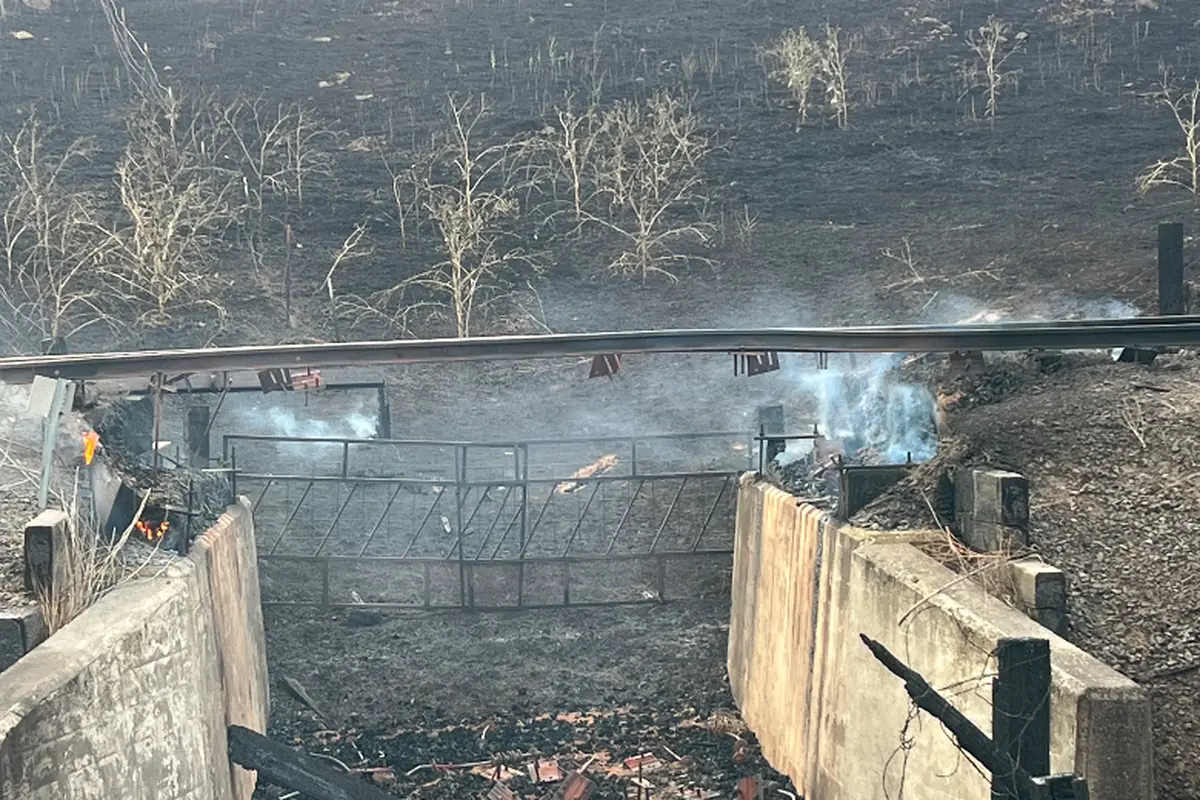 The Weston freight rail link is out after wildfire destroyed two bridges, forcing frozen-food cargo to nearby loading points.