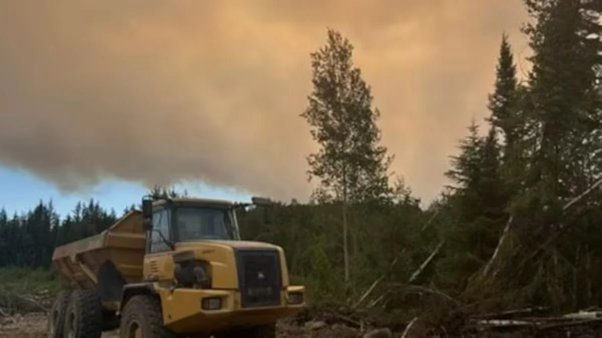 VIA Rail Wildfire Disruption in Northern Ontario