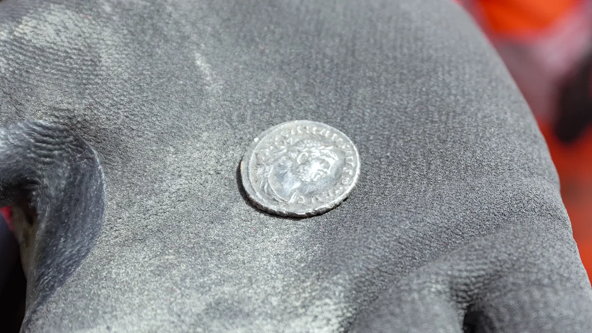 Silver Roman denarius bearing the image of Emperor Carausius found during East West Rail archaeological survey work