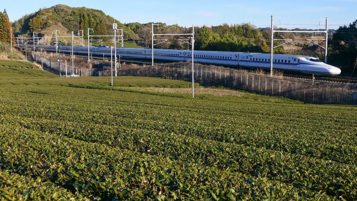 N700S train on the Tokaido Shinkansen in Shizuoka