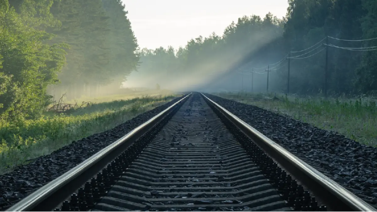 Single railway track running through a wooded corridor in morning mist