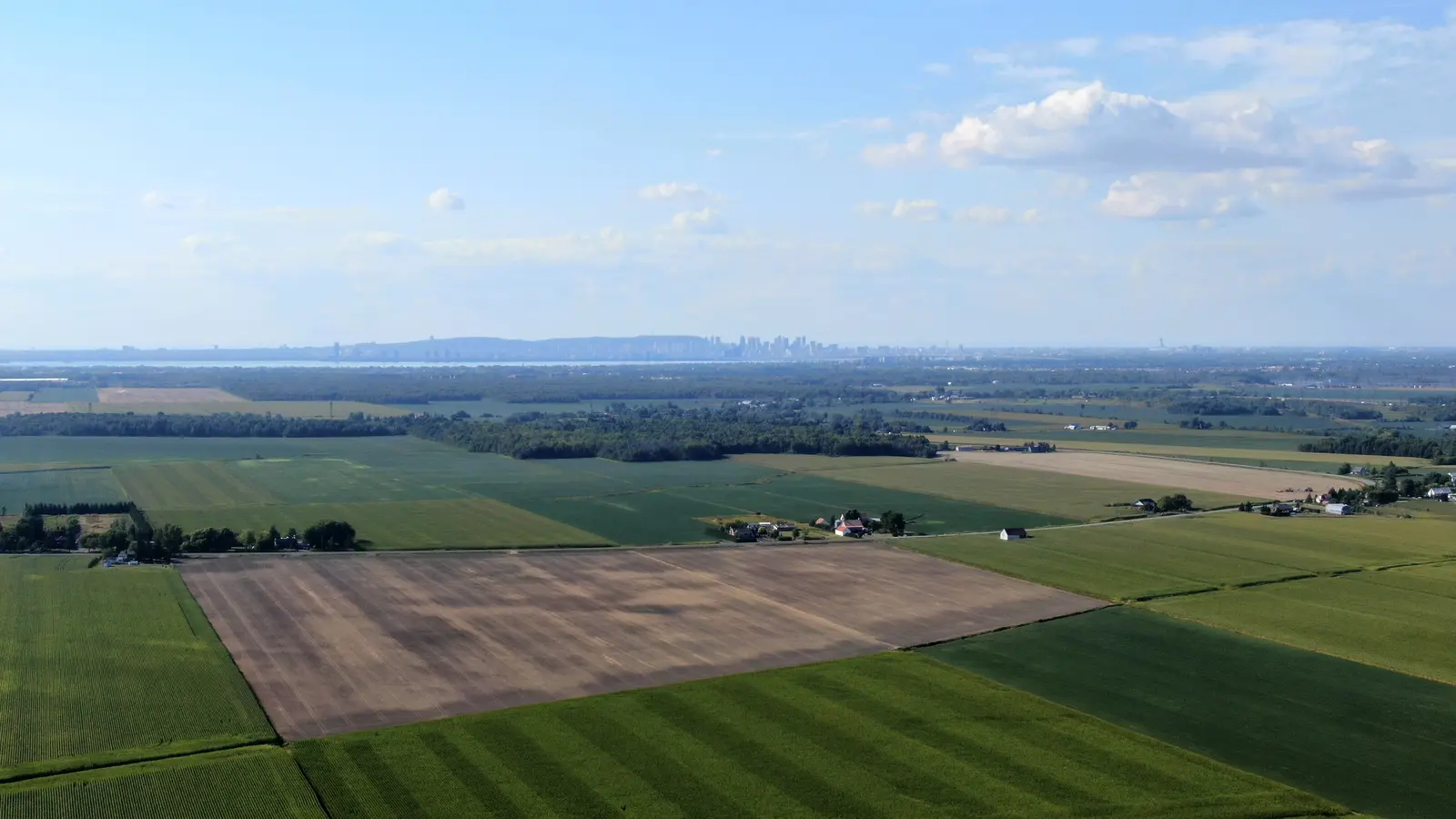 Farmland in Montérégie with the Montréal skyline visible in the distance