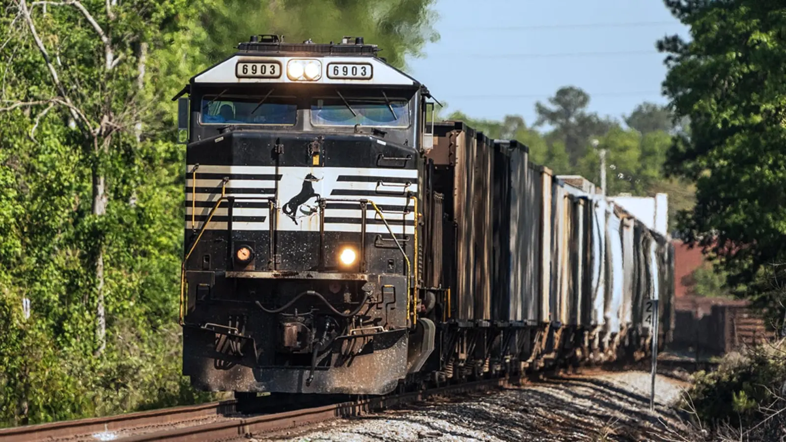 Norfolk Southern locomotive 6903 leading covered hopper cars on a tree-lined railway