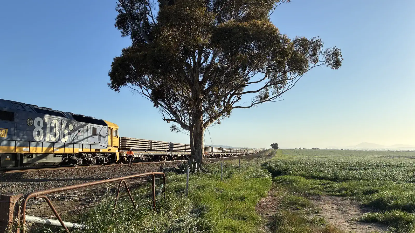 Pacific National locomotive 8136 hauling concrete sleepers through western Victoria